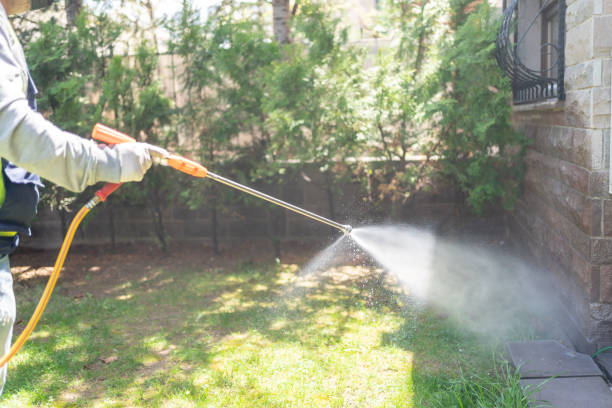 Indoor Pest Control in New Buffalo, MI